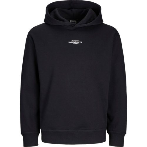 Jack & Jones Jcoalpha mountain print sweat hood