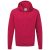 Russell Athletic Kleuren heren hooded sweatshirt / hoodie