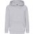 Fruit of the Loom Lichtgewicht hoodie kinderen/kinderen