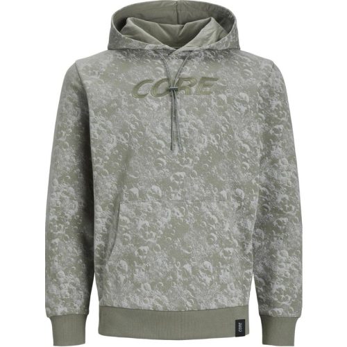 Jack & Jones Jcoaop luner sweat hood smu dessin