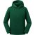 Russell Athletic Kinder/kinder authentieke hoodie met kap