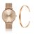 Dameshorloge en armband Amelia Parker Gold Sky