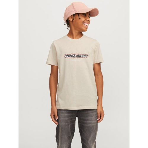 Jack & Jones Jorvesterbro newton brndg tee ss bf