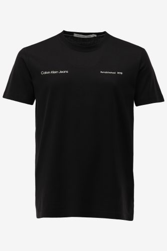 Calvin klein t-shirt big box logo tee