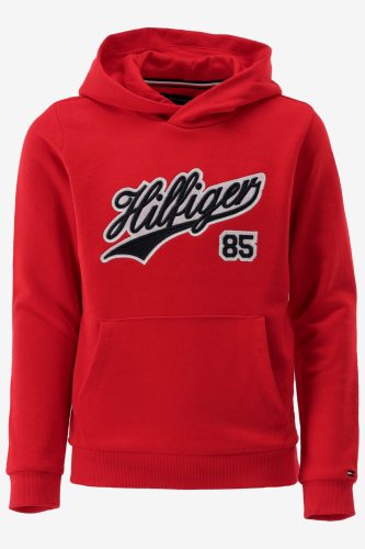 Tommy hilfiger hoodie hilfiger script hood