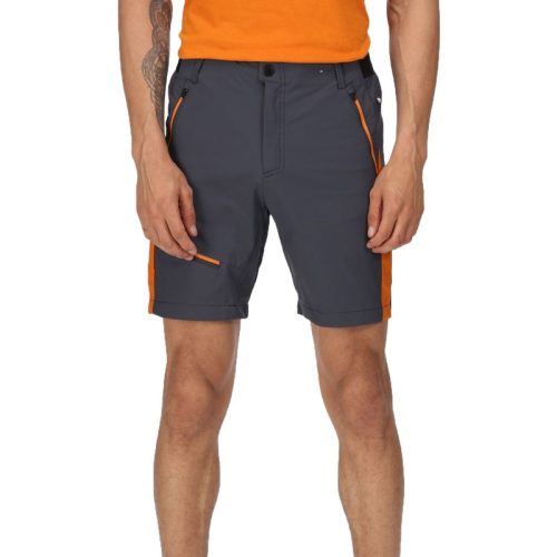 Regatta Heren highton pro shorts