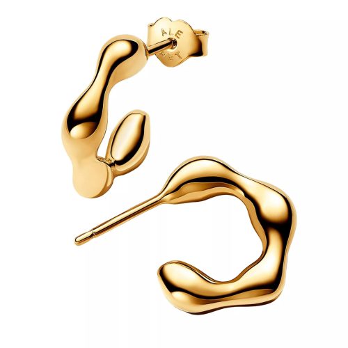 Pandora Oorbellen – 14k Gold-plated hoop earrings in gold