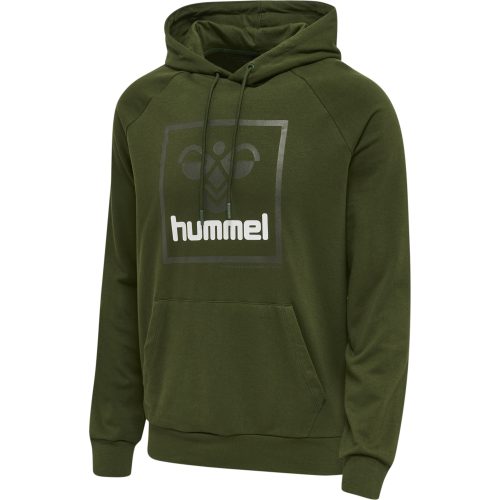 Hooded sweatshirt Hummel Isam 2.0