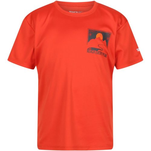 Regatta Kinderen/kinderen alvarado vii sunset t-shirt