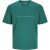 Jack & Jones Plus size heren t-shirt jjestar teal