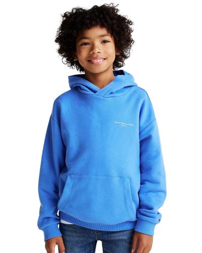 Tommy Hilfiger Kids Corp Logo Hoodie