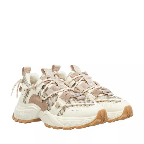 Steve Madden Low-Top Sneakers – Tazmania in beige