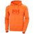 Hoodie Helly Hansen HH Logo 2.0