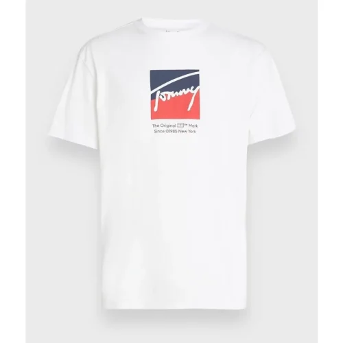 Tommy Hilfiger Tommy hilfiger t-shirt