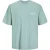 Jack & Jones Heren t-shirt jorsantorini ronde hals mintgroen