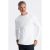 Ombre Longsleeve heren – taranto