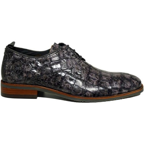 Rehab Falco croco vnz