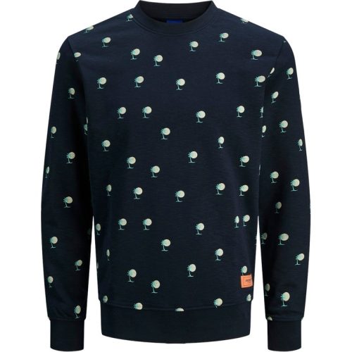 Jack & Jones Jorretreat sweat crew neck weh24 dessin