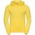 Russell Athletic Kleuren heren hooded sweatshirt / hoodie