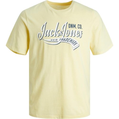 Jack & Jones Jjelogo tee ss neck 2 col 23/24 noo