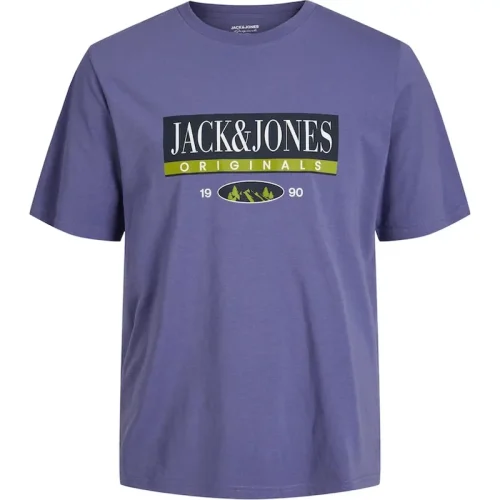 Jack & Jones Jorwalter tee