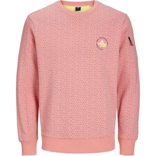 Jack & Jones Jcoaop chestprint sweat crew neck s dessin