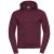 Russell Athletic Heren authentieke hooded sweatshirt / hoodie