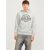 Jack & Jones Jjelogo sweat hood 2 col 24/25 noos