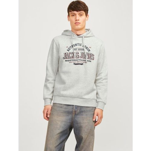 Jack & Jones Jjelogo sweat hood 2 col 24/25 noos