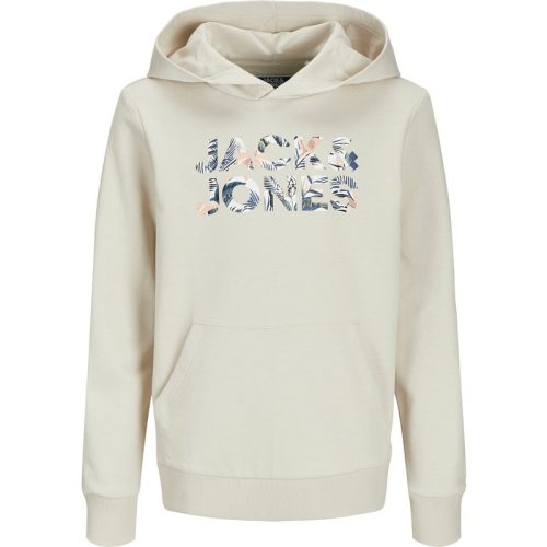 Jack & Jones Jjebryan corp logo sweat hood noos