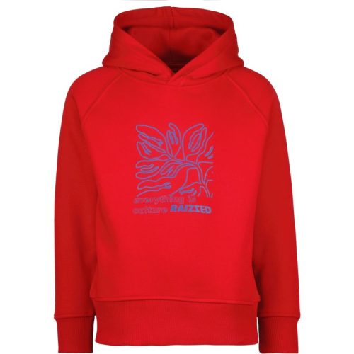 Raizzed Meiden hoodie wenda breazy