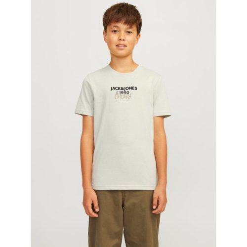 Jack & Jones Jorbushwick tee ss crew neck fst jn