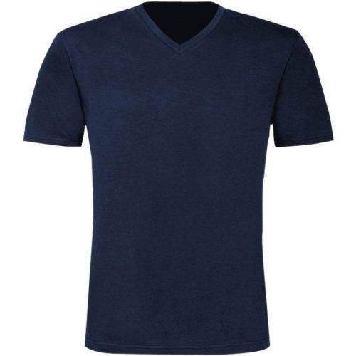 B and C B&c heren exacte v-hals t-shirt met korte mouwen