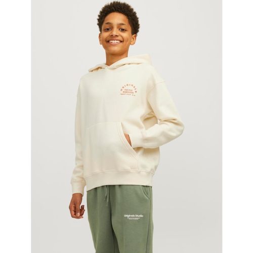 Jack & Jones Jorbrooklyn back sweat hood jnr