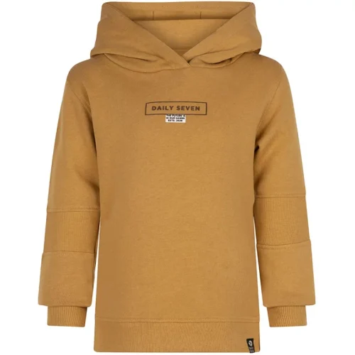 DAILY 7 Jongens hoodie d7 dusty