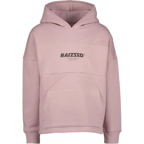 Raizzed Jongens hoodie djurre gray