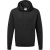 Russell Athletic Kleuren heren hooded sweatshirt / hoodie