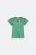 Fabienne Chapot Kristy Top Clt-257-top-ss24 T-shirt Korte Mouw 0018 Green Apple/blue Dre