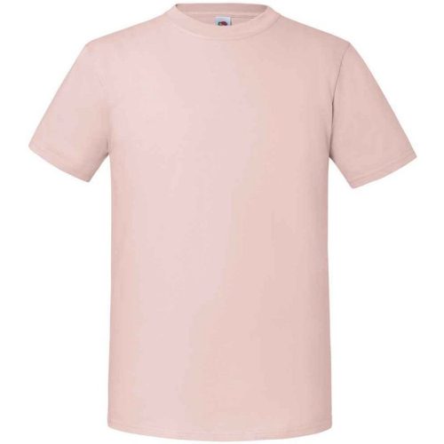 Fruit of the Loom Heren iconic 195 premium ringspun katoen t-shirt