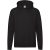 Fruit of the Loom Heren premium hoodie