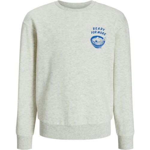 Jack & Jones Jjcharge printed sweat crew neck jn