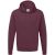 Russell Athletic Kleuren heren hooded sweatshirt / hoodie