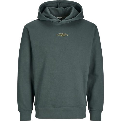 Jack & Jones Jcoalpha mountain print sweat hood