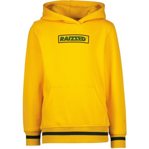 Raizzed Jongens hoodie westend varsity