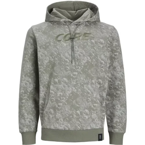 Jack & Jones Jcoaop luner sweat hood