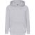 Fruit of the Loom Kinder/kids classic 260 hoodie