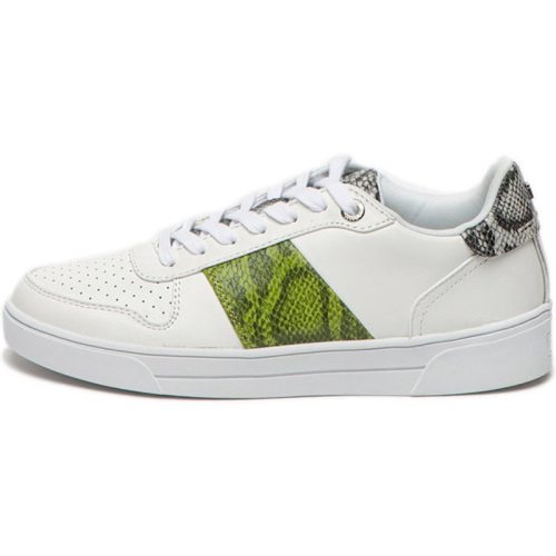 Ted Baker Sneaker coppirr-exotic emboss 241717