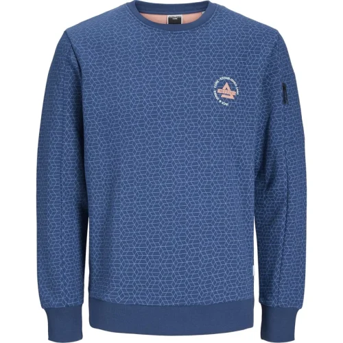 Jack & Jones Jcoaop chestprint sweat crew neck